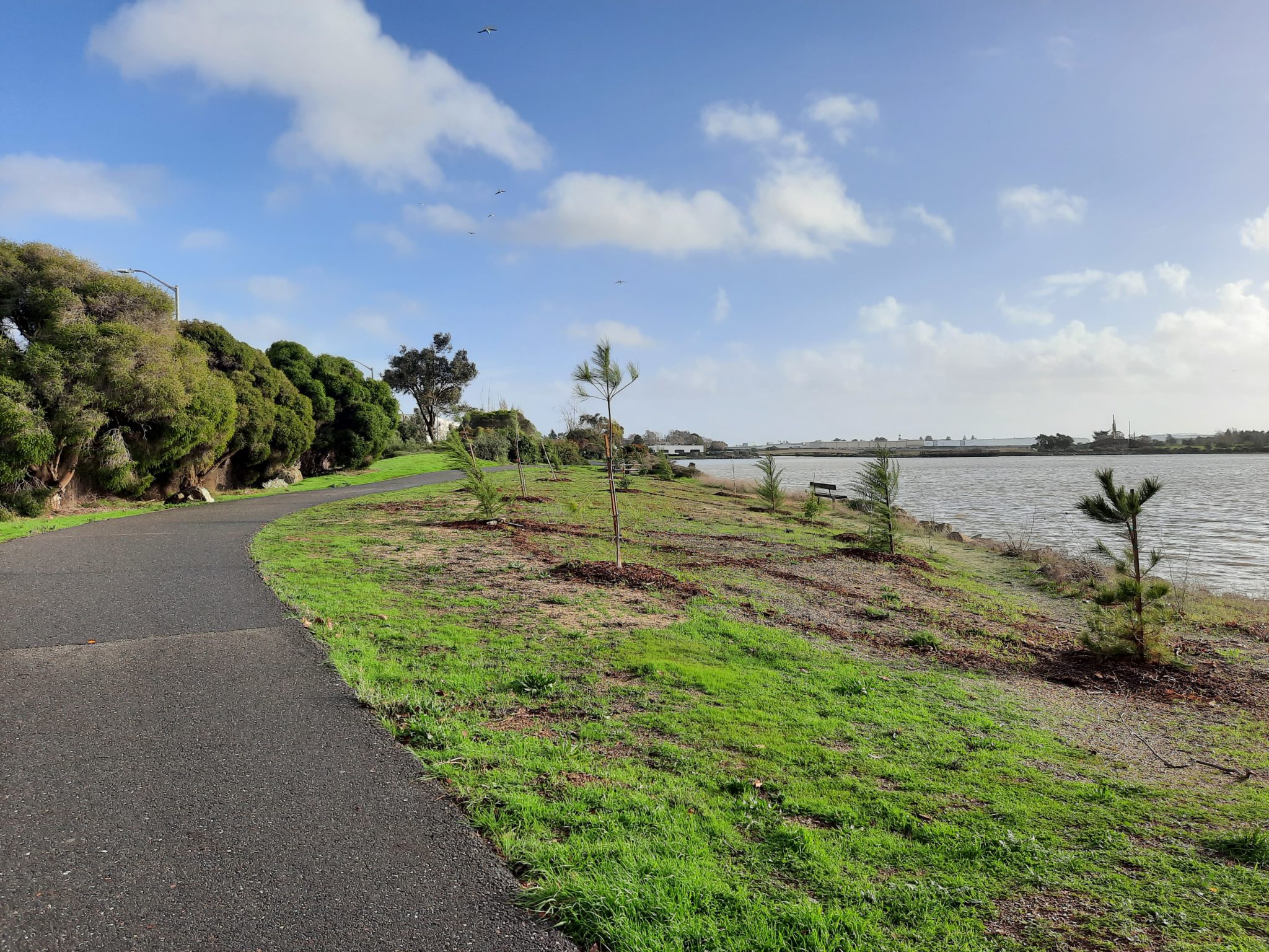 Oakland Earth Day Countdown! Oakland Parks and Recreation Foundation